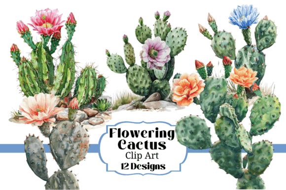 Download 12 Watercolor Flowering Cactus Clipart - Cactus clipart Collection